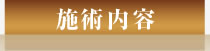 施術内容