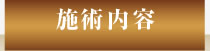 施術内容